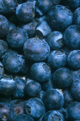 Blueberry | Myrtille