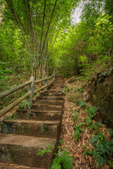 Fototapeta premium staircase on a hike in the mountains in Udonthani, Thailand.