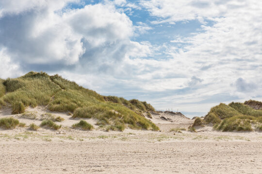 Dunes at Bjerregard, Danish North Sea coast