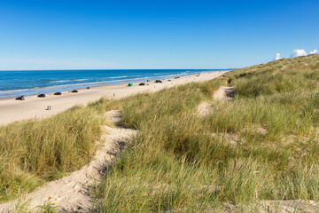 Fototapeta na wymiar Beach and dunes of Blokhus at the Danish North Sea caost
