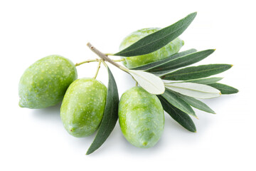Green natural olives with leaves isolated on a white background.