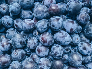 Fresh prunes close-up. Photo from above. Fruit harvest collected in the garden. Healthy food, gardening, vitamins.