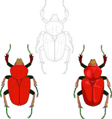 Realistic red bug three different ways. Vector illustartion in color and black and white for games, background, pattern, decor. Print for fabrics and other surfaces. Coloring paper, page, book