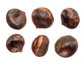 Set of roasted edible chestnut fruits isolated on white background.