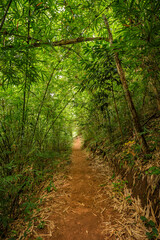 Obraz premium staircase on a hike in the mountains in Udonthani, Thailand.