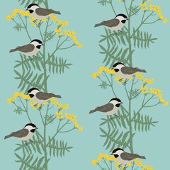 Seamless pattern with field tansy and birds.