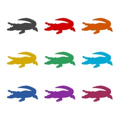 Crocodile icon, color set