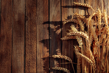Wheat on a rustic wooden background in sunset light, overhead view.