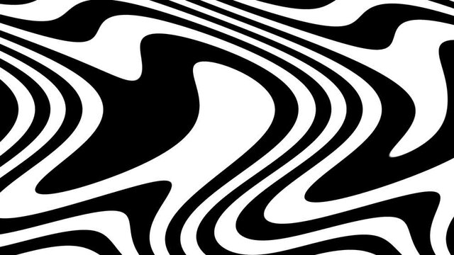 Zebra Stripes Circles Merging Shaping