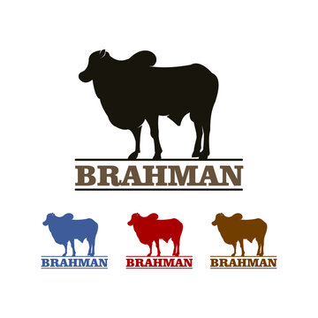 florida brahman association field day clipart