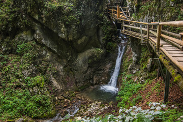 Fototapeta premium little waterfall with wooden walkways in a gorge