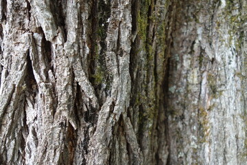 北海道の田舎のグラフィック素材