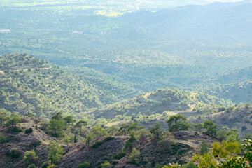 Fototapeta na wymiar Beautiful mountain road in the green valley of Troodos mountains on Cyprus island