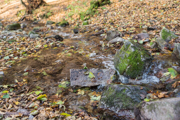 Seasonal autumn landscape and countryside view - forest with castle