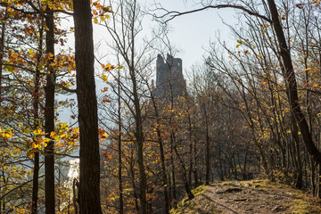 Seasonal autumn landscape and countryside view - forest with castle
