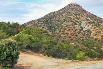 Fototapeta na wymiar Beautiful mountain road in the green valley of Troodos mountains on Cyprus island