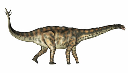 Obraz na płótnie Canvas Spinophorosaurus dinosaur walking isolated in white background - 3D render