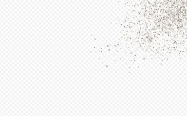 Silver Glow Bridal Transparent Background. 