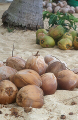 Coconut | Noix de Coco