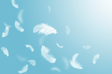 Feather abstract freedom concept. Group og Light fluffy a white feathers floating in a blue sky.