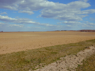 Fototapeta na wymiar A plowed agricultural field. Blue sky over a farm field.