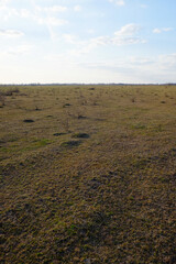 Vast expanses of steppe. The sky over the grassy field. Landscape.