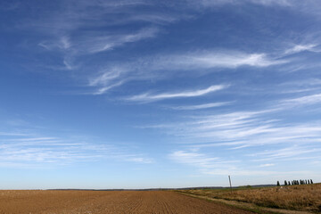 Fototapeta premium Himmel mit Federwolken über abgeerntetem Feld
