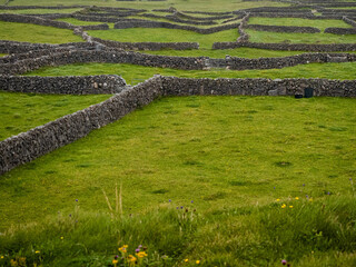 Maze of stone fences and green grass fields, Landscape in Inis mor Aran Islands, county Galway, Ireland. © mark_gusev