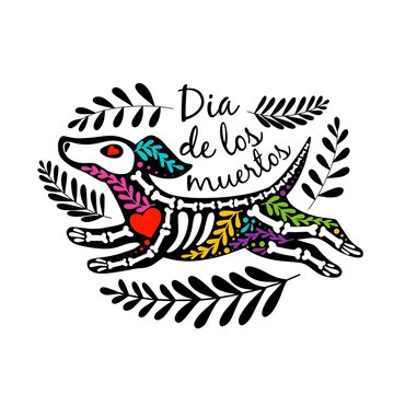 Vector colorful postcard. Dia de los Muertos, Day of the dead or Halloween concept. Flying dog skeleton, with floral design, isolated on white background