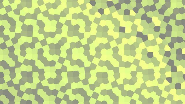 Camo Camouflage Cells Slow Fluid Simulation Low Poly