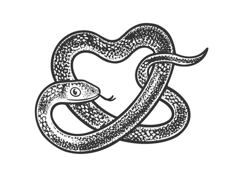 snake in form of heart symbol sketch engraving vector illustration. T-shirt apparel print design. Scratch board imitation. Black and white hand drawn image.