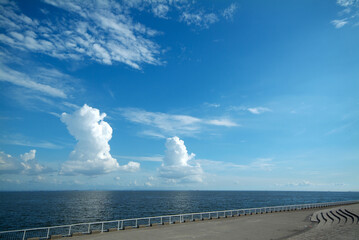 高洲海浜公園（千葉県浦安市）