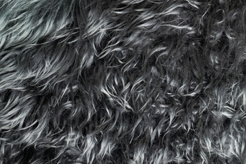 close-up of the wool texture