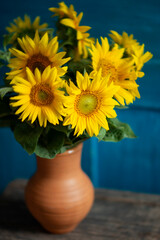 Still-life. Sunflowers in a jug on a blue background.