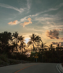 Fototapeta premium Atardecer con Palmeras en la carretera