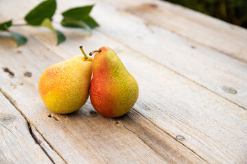 pears on old wooden table. Bio Healthy food.