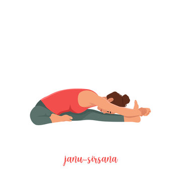 Yoga janu sirsasana head to knee pose. Flat style illustration.