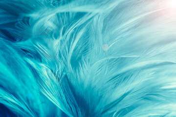 Green turquoise and blue color trends chicken feather texture background,Light orange - obrazy, fototapety, plakaty