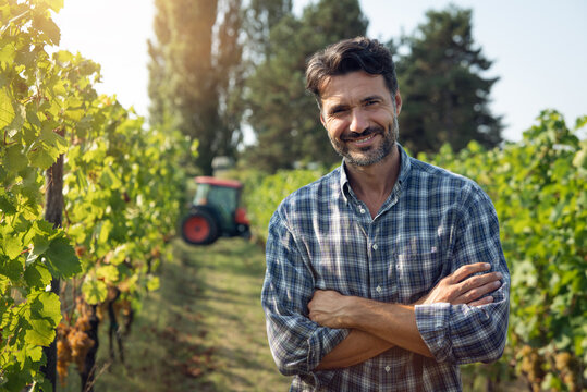 Authentic shot of happy male farmer or winemaker is smiling in camera in vineyard satisfied with results of grape harvesting for further high quality wine production.