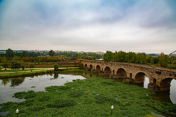 Puente romano en rio con mucha vegetación de estanque