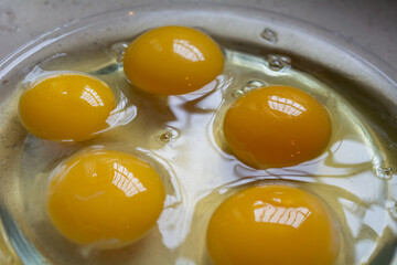 Huevos super frescos de gallinas camperas españolas