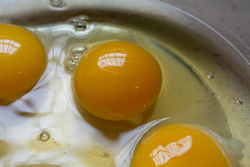 Huevos super frescos de gallinas camperas españolas