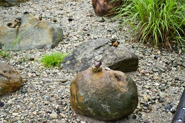  The view of some stone at Tochigi.