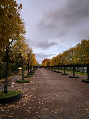autumn in the park