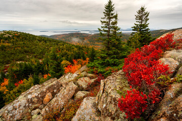 Acadia national park turns colors with the season in October and shines with a glow as the sun breaks the horizon on a cloudy early morning in Bar Harbor Maine at top of Cadillac Mountain after hiking