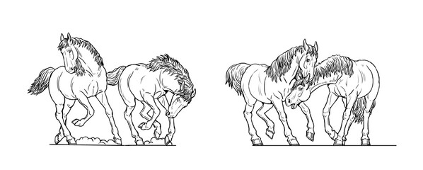 Horses drawing. Wild horses playing, running and fighting. Horse outline.