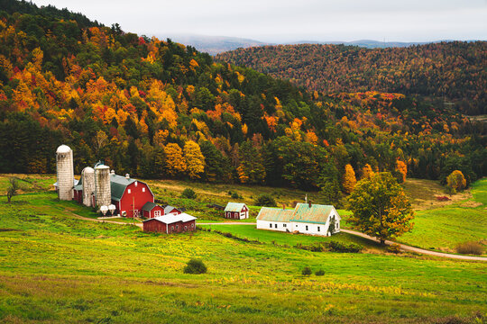 Rustic farm scene in rural vermont during autumn with fall colors changing and a bountiful harvest and a traditional American scene depicting home for the holidays