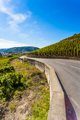 Route des vins des Côtes du Rhône à Tain l’Hermitage, France 