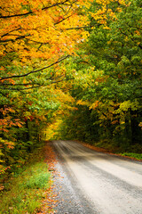 Fototapeta na wymiar Empty country road in rural New England during Autumn with foliage changing to fall colors creating a tranquil contemplative scene