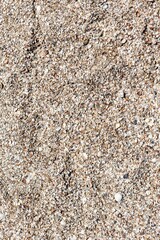 Background and texture of sand close up. Sea coast